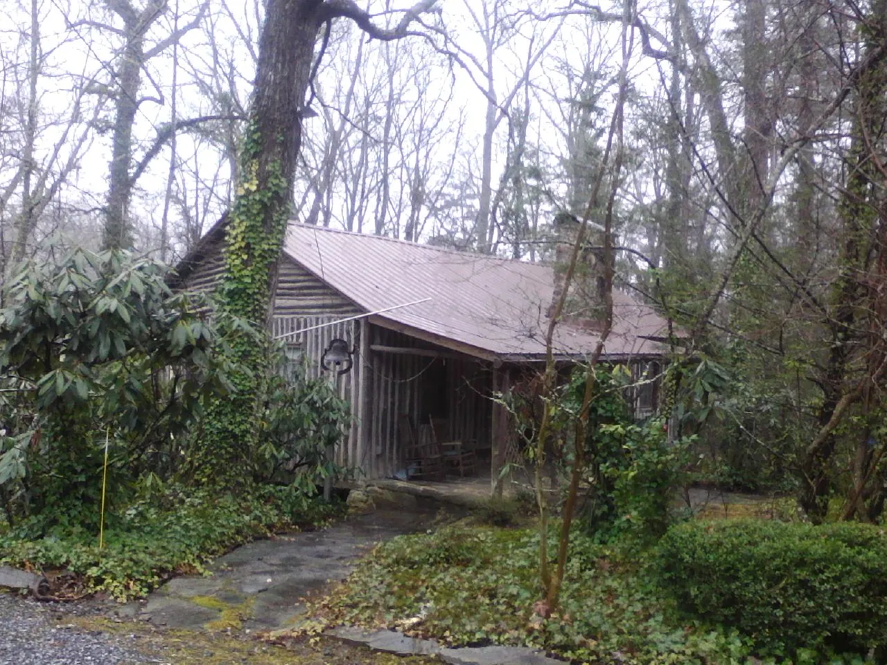 Weathered metal roof on an old board sided cabin in the woods in Hookerton