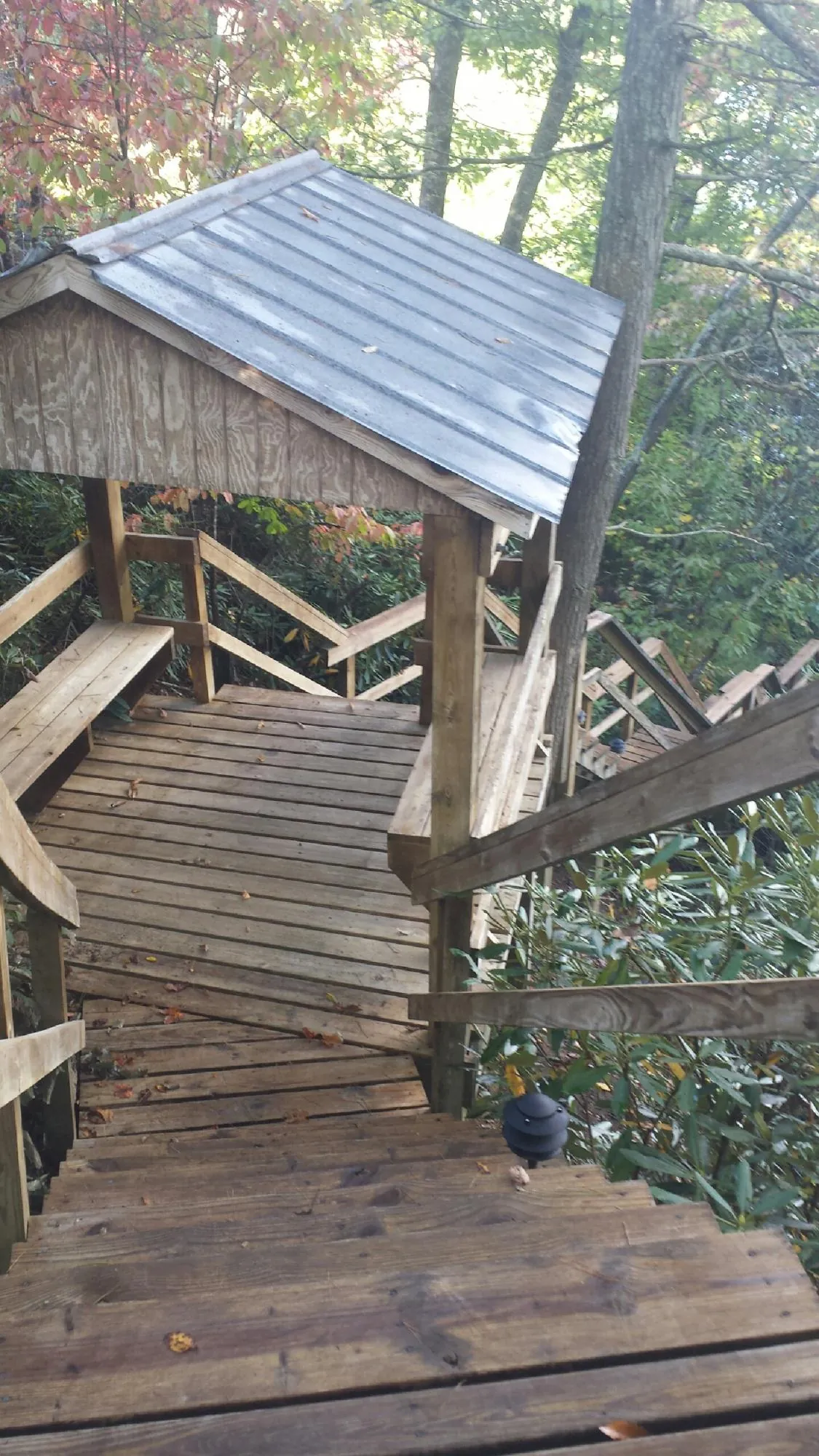 Metal roofed shelter over wooden steps on a wooded walkway — Skylight Repair & Installation work by our crew in Hookerton